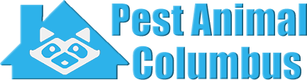 Columbus Wildlife and Animal Removal